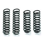 Fabtech Coil Spring Kit FTS24161