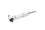 Eibach Pro-Truck Shocks E60-23-006-03-10