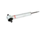 Eibach Pro-Truck Shocks E60-35-037-06-10