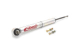 Eibach Pro-Truck Shocks E60-35-035-02-10