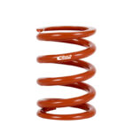 Eibach ERS Springs 0675.500.1200
