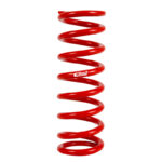 Eibach ERS Springs 1000.250.0325