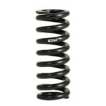Eibach ERS Springs 1100.550.1200