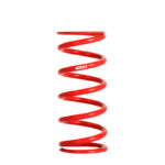 Eibach ERS Springs 1300.500.0175