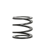 Eibach ERS Springs 40-60-0060