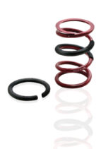 Eibach ERS Springs CS5001