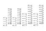 Eibach Pro-UTV Kits E85-212-006-03-22 - Image 2