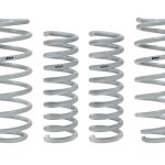 Eibach Drag-Launch Kits E32-27-004-02-22