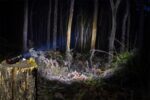 ARB General Accessories 10500070 - Image 2