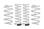 Eibach Pro-Truck Lift Kits E30-77-010-04-22