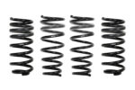 Eibach Pro-Kits E10-10-012-01-22 - Image 2