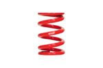 Eibach ERS Springs 0500.225.0500 - Image 2