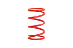 Eibach ERS Springs 0800.250.0300 - Image 2