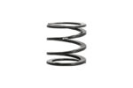Eibach ERS Springs 50-60-0020 - Image 2