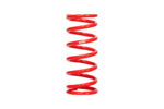 Eibach ERS Springs 0700.250.0250 - Image 2