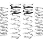 Eibach Pro-Kits E30-35-060-02-22