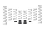 Eibach Pro-UTV Kits E85-209-001-02-22 - Image 2