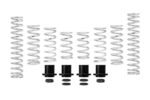 Eibach Pro-UTV Kits E85-209-014-03-22 - Image 2