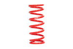 Eibach ERS Springs 250-60-0025 - Image 3