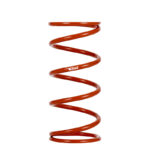 Eibach ERS Springs 1300.500.0250 - Image 3